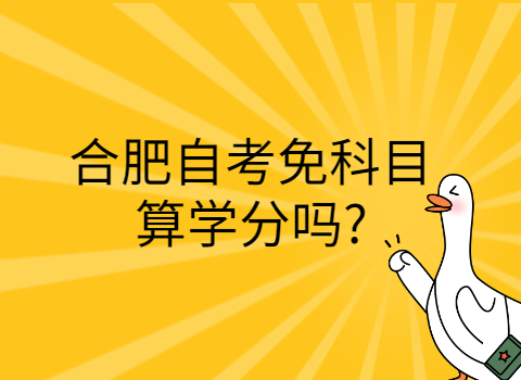 合肥免考科目算學分嗎